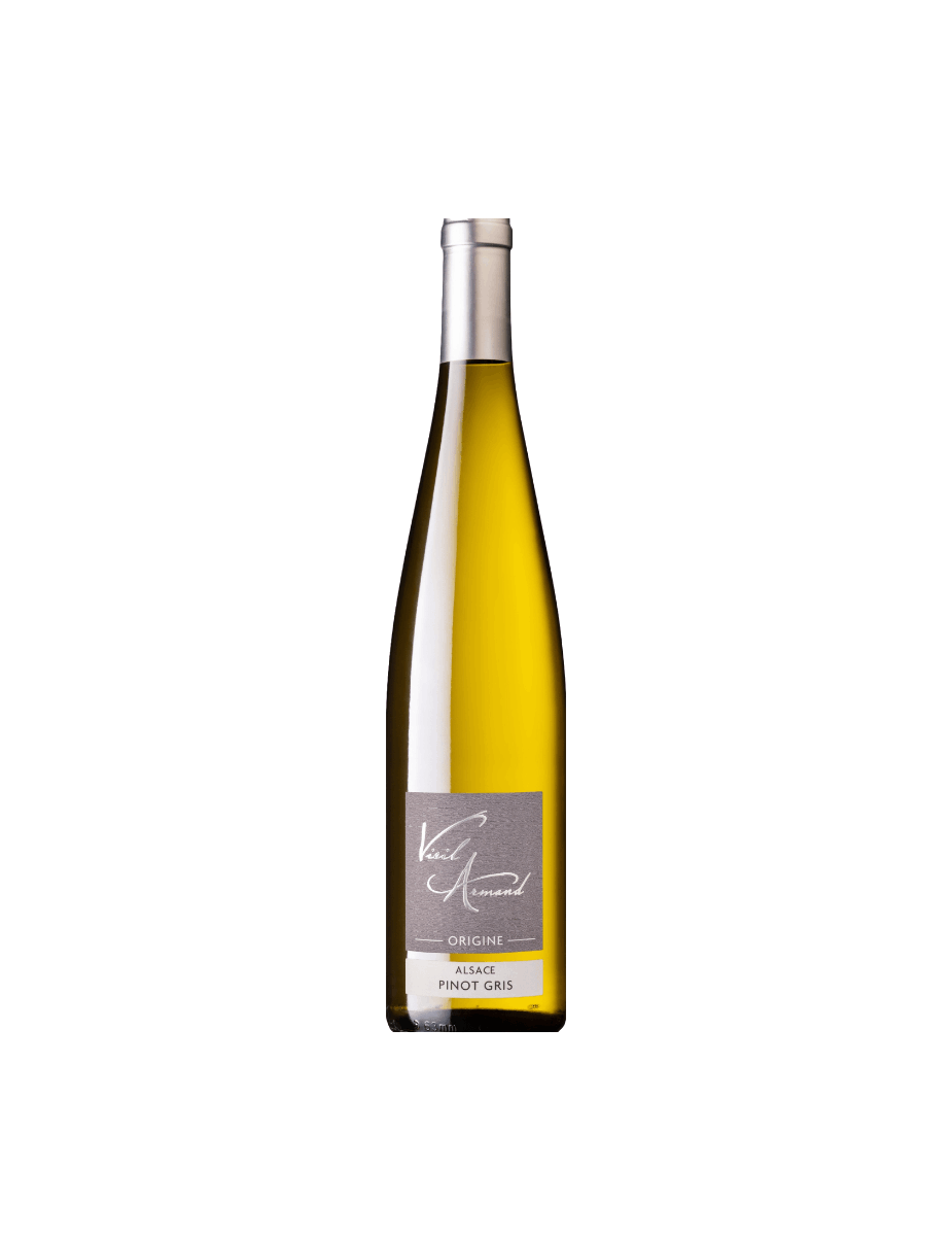 GD Vernaccia(3).png