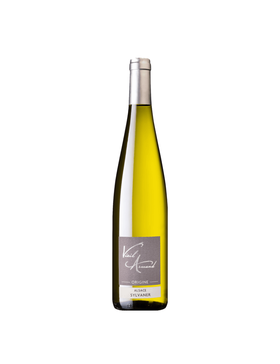 GD Vernaccia(3).png