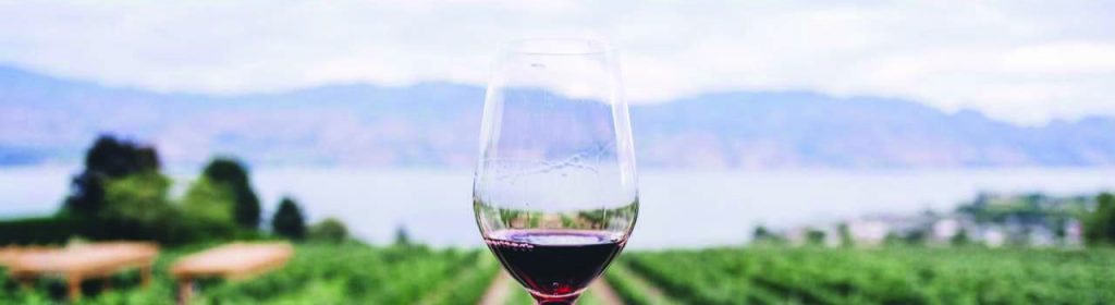 Immagine di un bicchiere di vino con panorama sullo sfondo