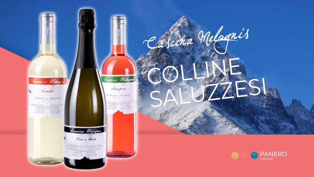 Copertina articolo Cascina Melognis. Vini di Saluzzo